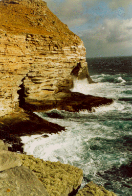 Cliff