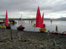 Regatta at Goose Green